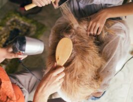 Finding the Right Groomer: What to Look for