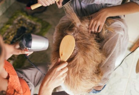 Dog Groomer - person pouring water on womans hair