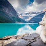 Dog Map - A white dog sitting on a rock formation near a large mountain pond.