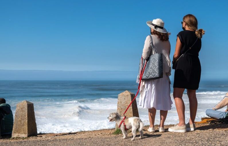 Record Dog - woman in black tank top standing beside white short coated dog on beach during daytime