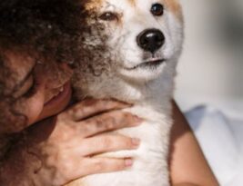 Insight into the Shiba Inu: Japan’s Beloved Dog
