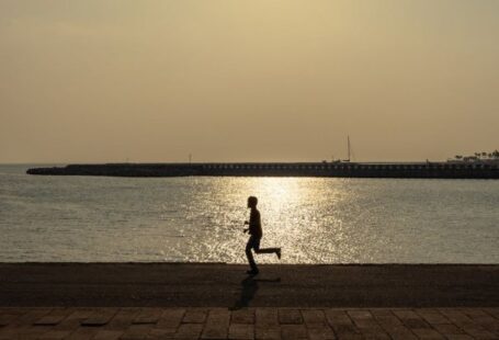 Saluki Running - Free stock photo of beach sunset, silhouette, sri lanka
