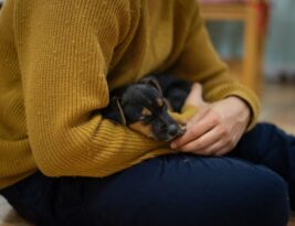 The First 48 Hours: Helping Your Puppy Adjust