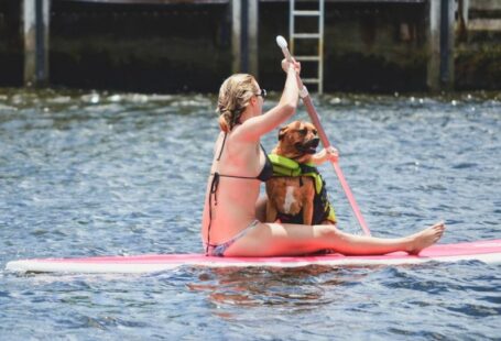 Dog Habits - woman in green bikini riding on red and white surfboard during daytime