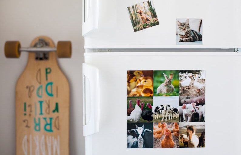 Dog Puzzle - a white refrigerator with pictures of animals on it