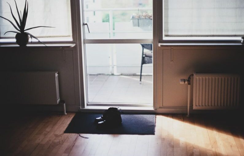 Home Ready - black puppy on door mat inside room