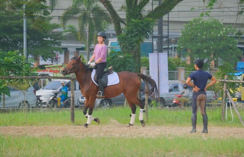 Agility Course - man in white shirt riding brown horse during daytime