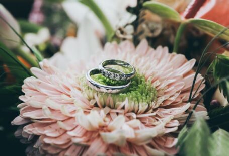 Obedience Ring - close up photography of silver-colored wedding rings on pink gerbera daisy flower